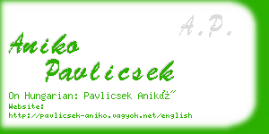 aniko pavlicsek business card